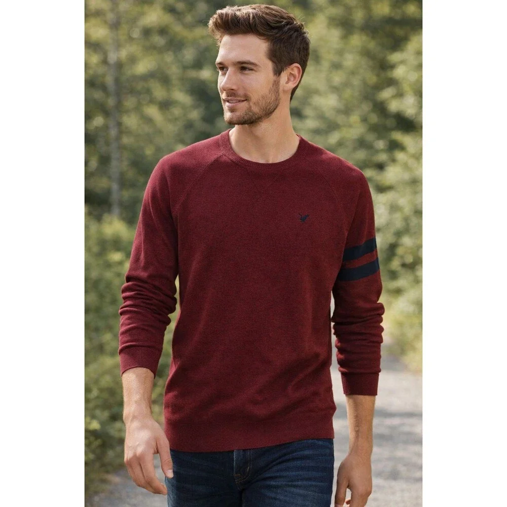 American Eagle Outfitters Sweater Mens Small Burgundy Cotton Crew Neck Logo